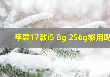 苹果17款i5 8g 256g够用吗